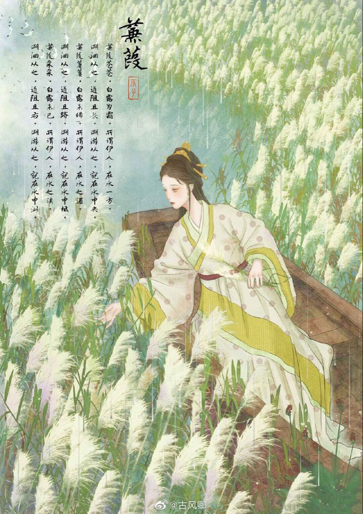 梦魇之林